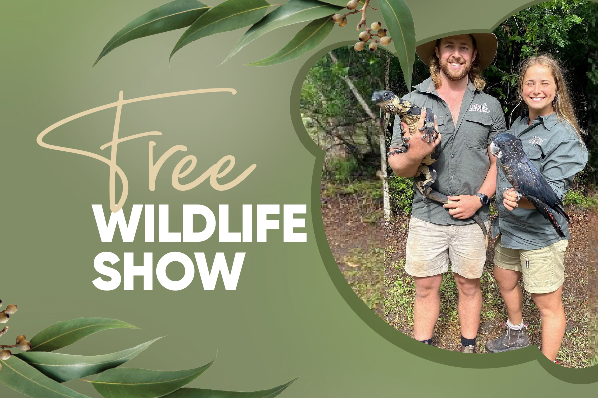 FREE School Holidays – Wildlife Unleashed Show – 29 September to 3 October
